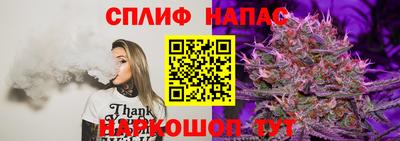 гидра Апшеронск