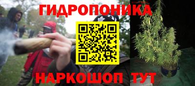 гидра Апшеронск