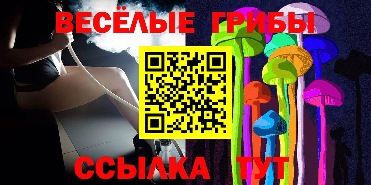 Владикавказ  Псилоцибиновые грибы мицелий  Вход с VPN  Галлюциногенные грибы GOLDEN TEACHER 